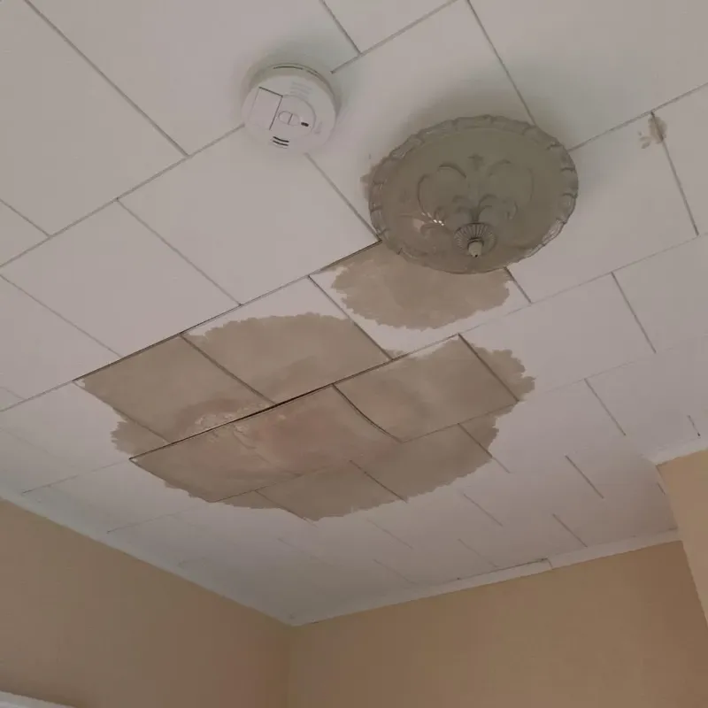 Ceiling Water Damage Repair in Rouses Point, NY