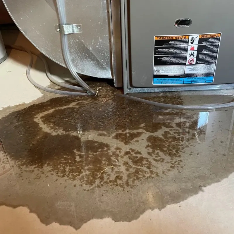 Pipe Burst and Leak Restoration in Rouses Point, NY